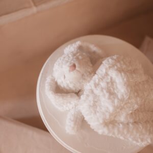 stuffed animal mrs. pookie rabbit