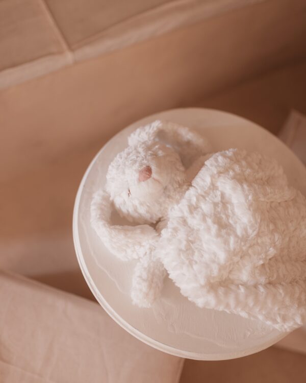 stuffed animal mrs. pookie rabbit