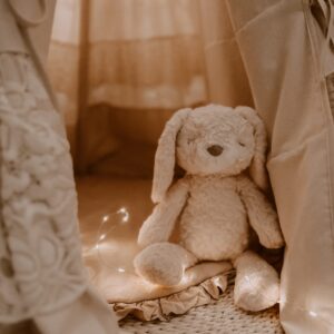 stuffed animal mrs. pookie rabbit