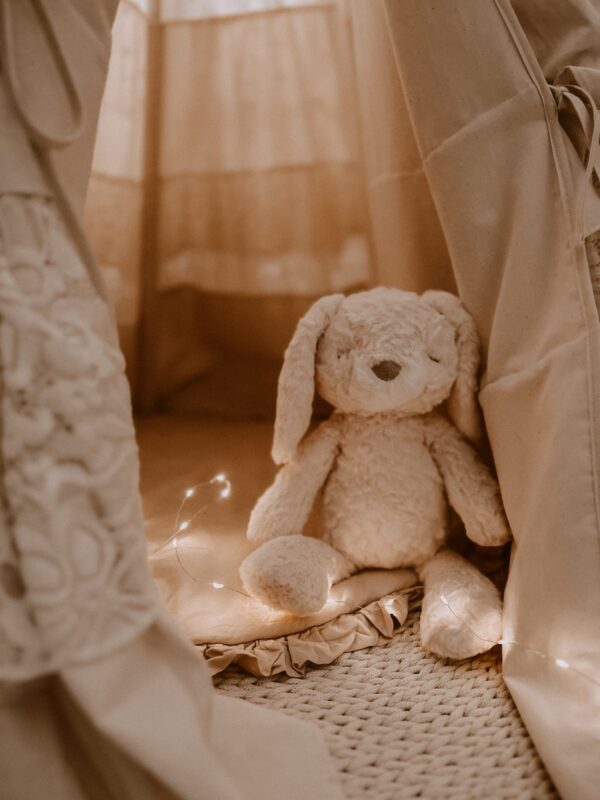 stuffed animal mrs. pookie rabbit