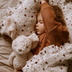 stuffed animal mrs. pookie rabbit