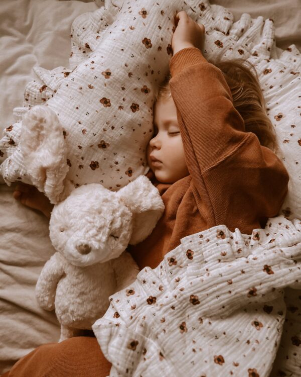 stuffed animal mrs. pookie rabbit