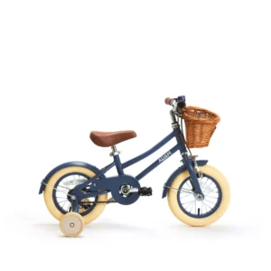 adam bike the dutch style