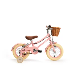 adam bike the dutch style