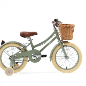 adam bike the dutch style ''16 sage