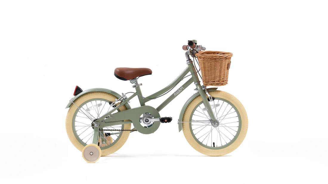 adam bike the dutch style ''16 sage