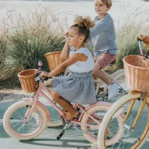 adam bike the dutch style ''16