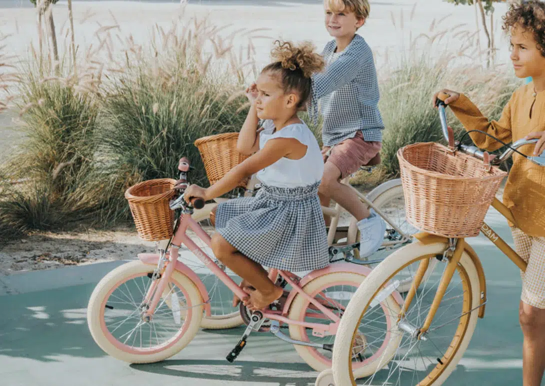 adam bike the dutch style ''16