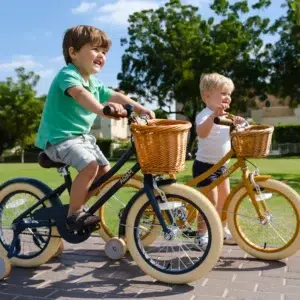 adam bike the dutch style ''16