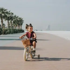 adams bike the dutch style ''12 blue