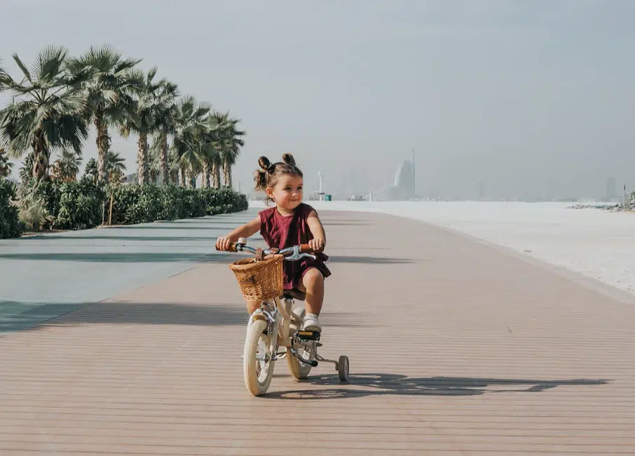 adams bike the dutch style ''12 blue