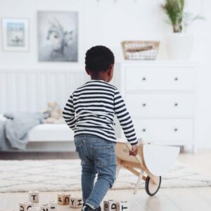 toy wheelbarrow white