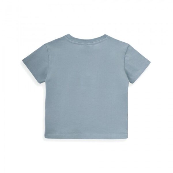 turtle t shirt for boys